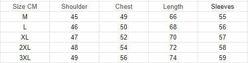 Herbst-Polo-Pullover mit Reverskragen